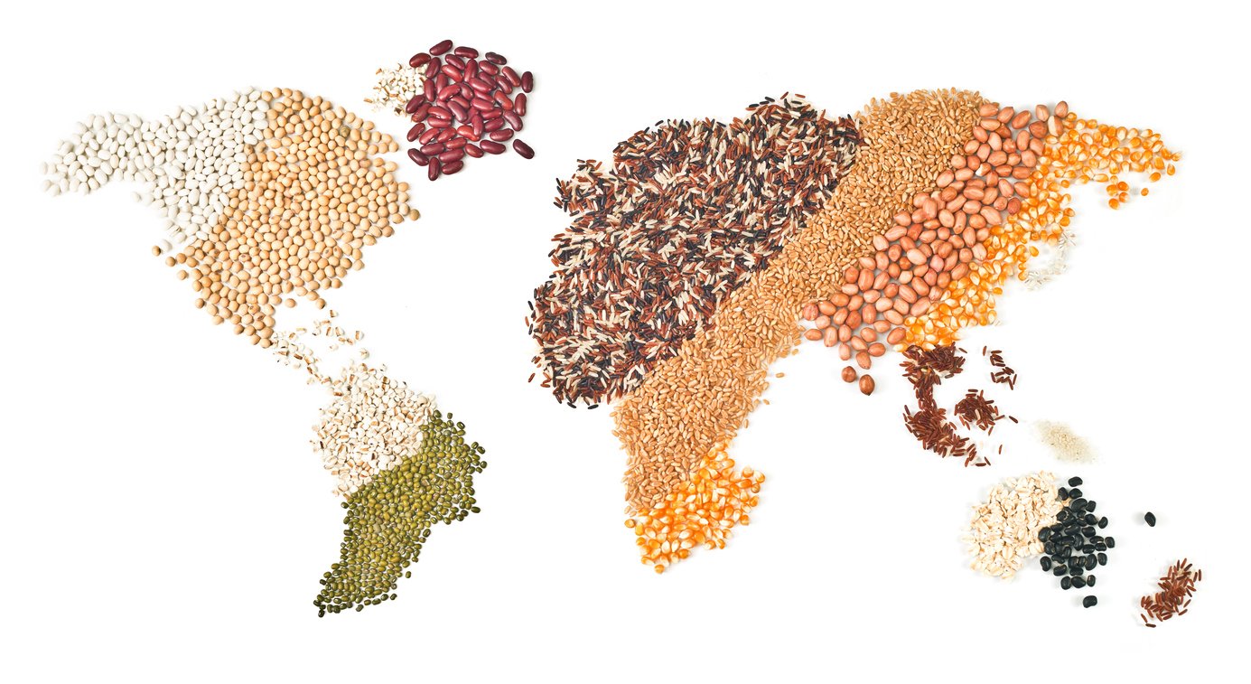 Global food supply chain