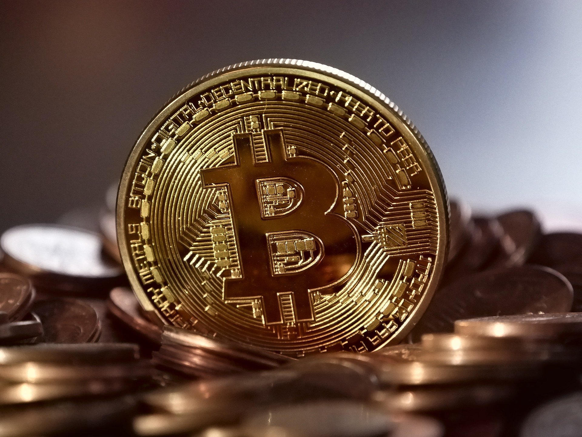 A pile of bitcoins.
