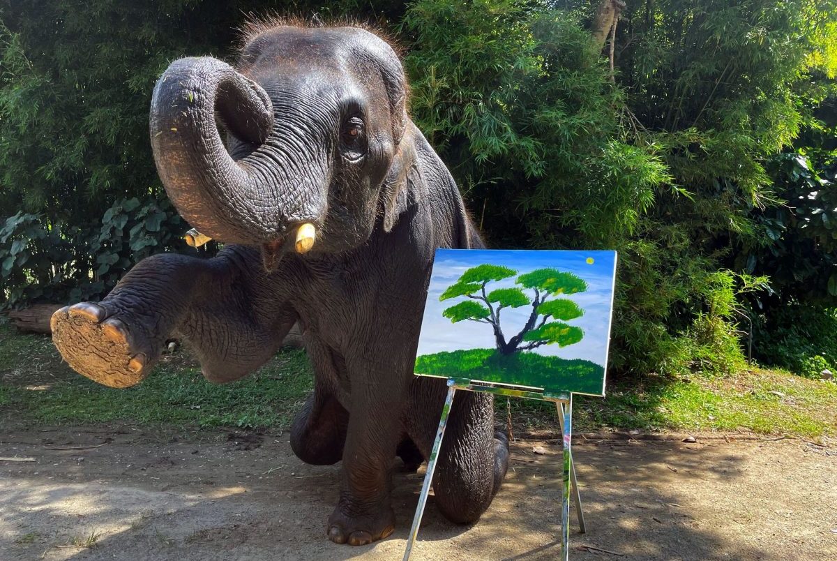BitTrunks Elephant NFT