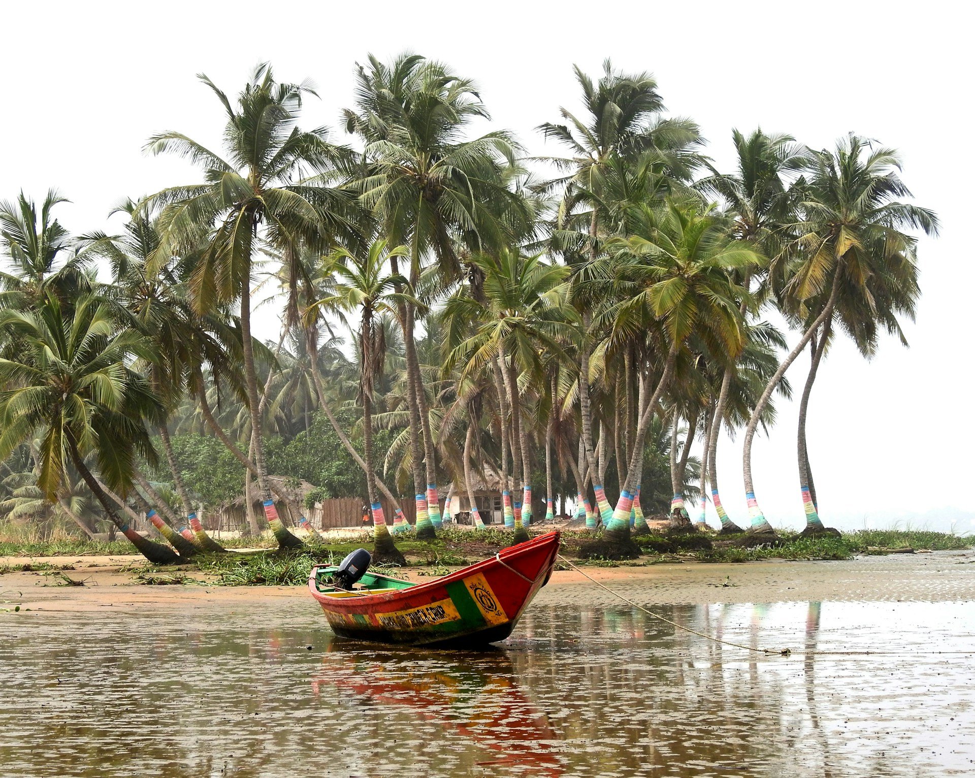 A boat, painted with the colours of the Ghanaian flag, moored next to paln trees.